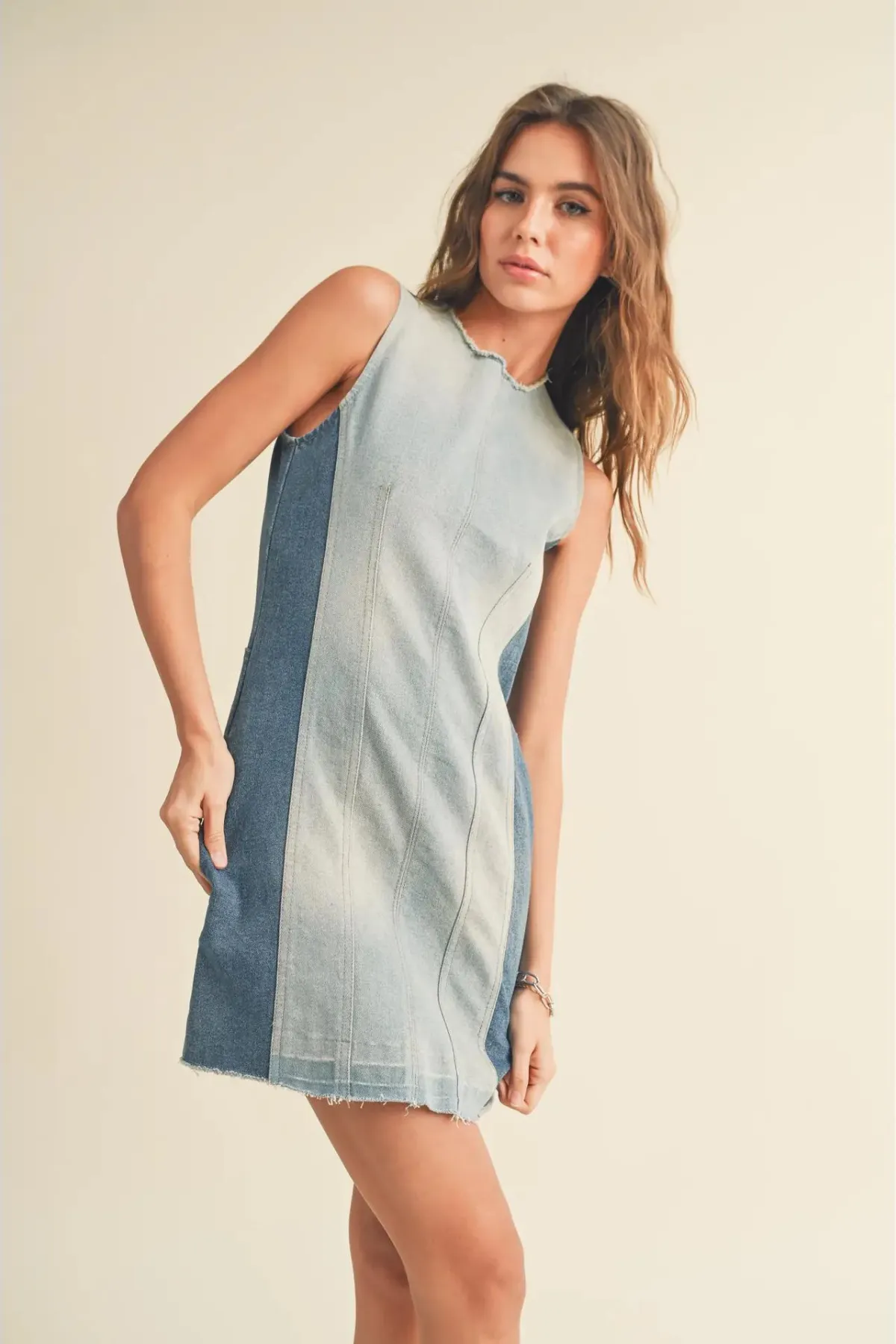 Denim Daydream Stretch Dress