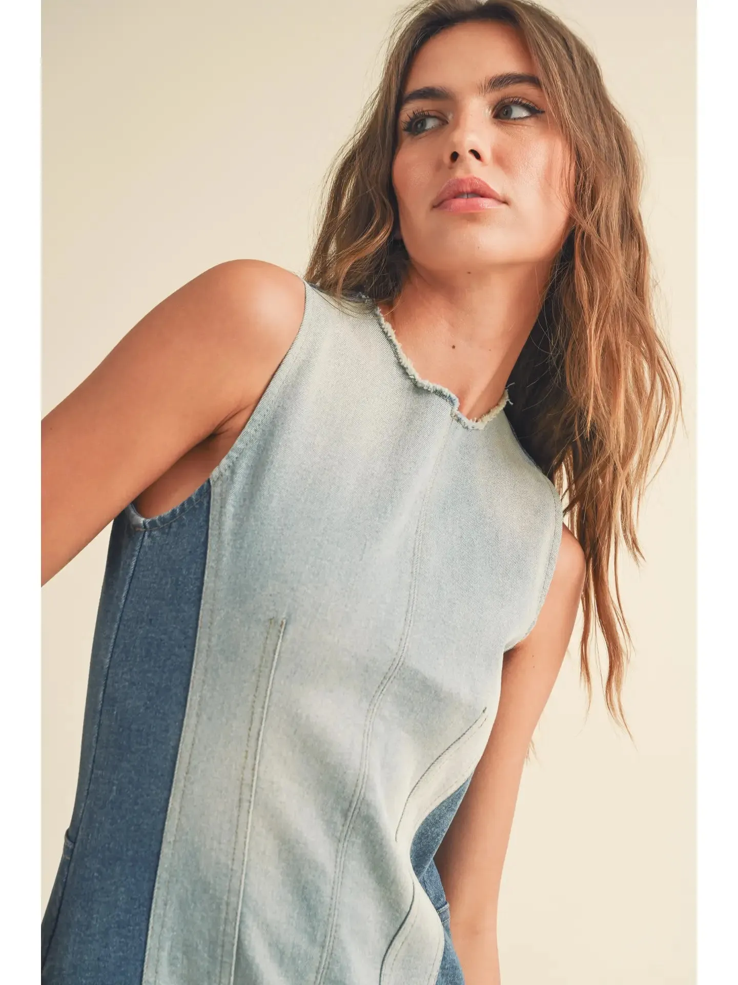 Denim Daydream Stretch Dress