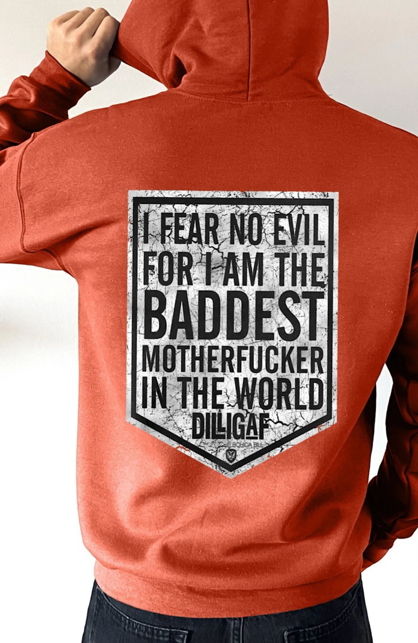 Dilligaf I Fear No Evil Pullover Hoody