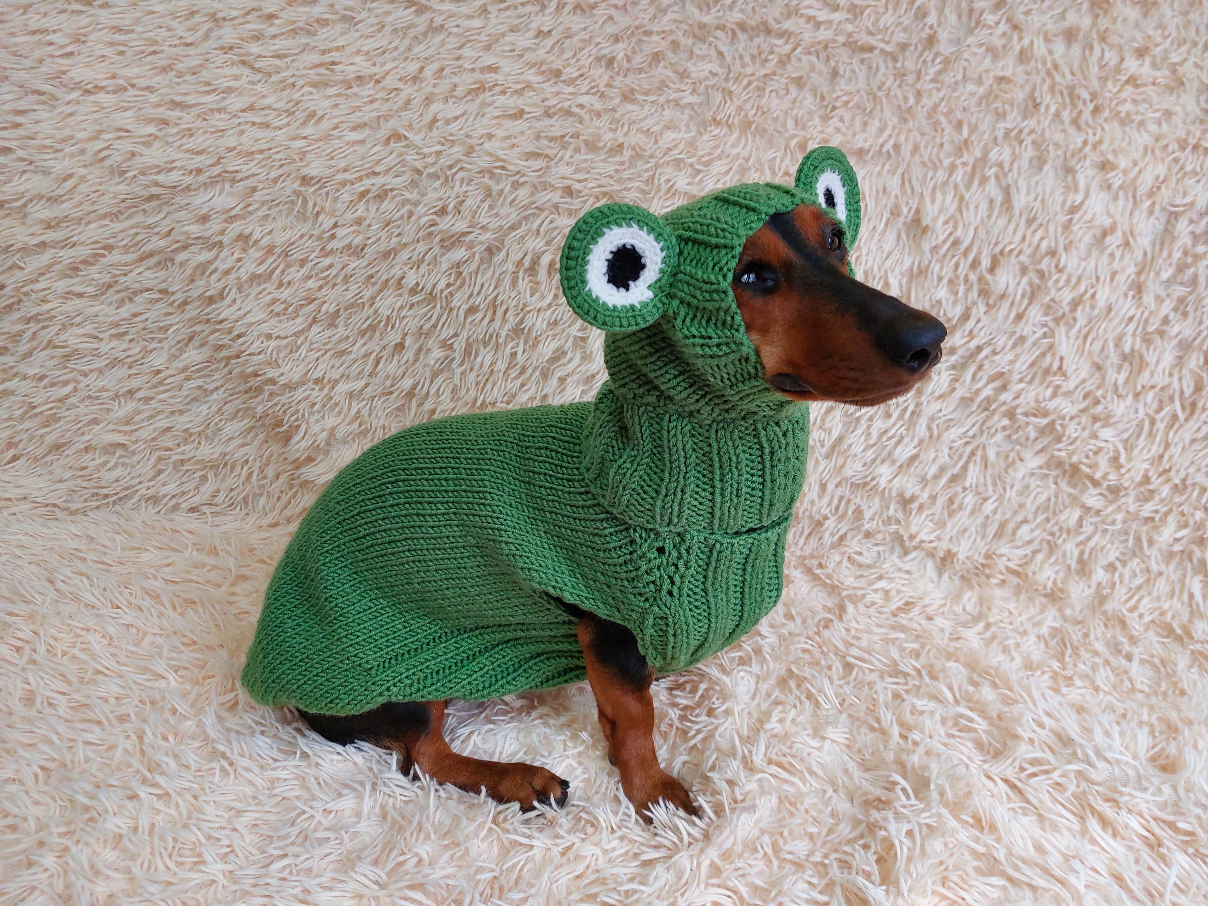 Pet Frog Costume - Halloween Costume Frog Sweater and Hat - Dachshund Frog Set for Dog Photo Shoot-Halloween dog costume for small dog Frog