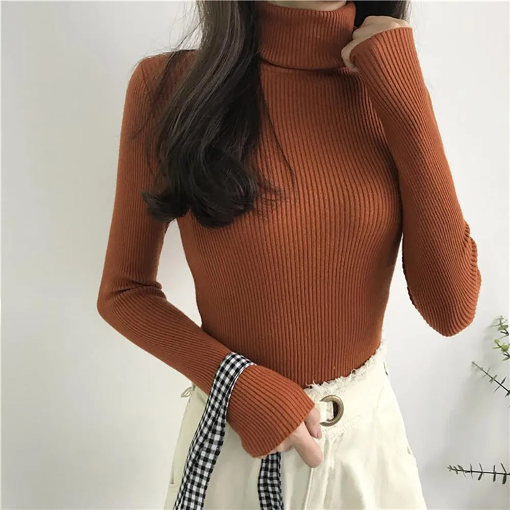 Thick and Soft Turtle Neck Long Sleeve Sweater