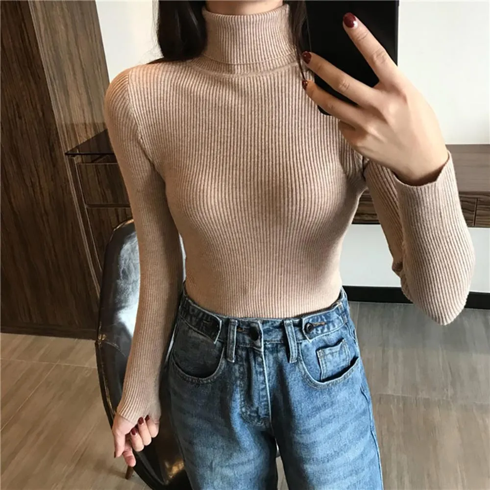 Thick and Soft Turtle Neck Long Sleeve Sweater