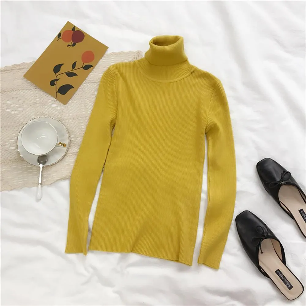 Thick and Soft Turtle Neck Long Sleeve Sweater