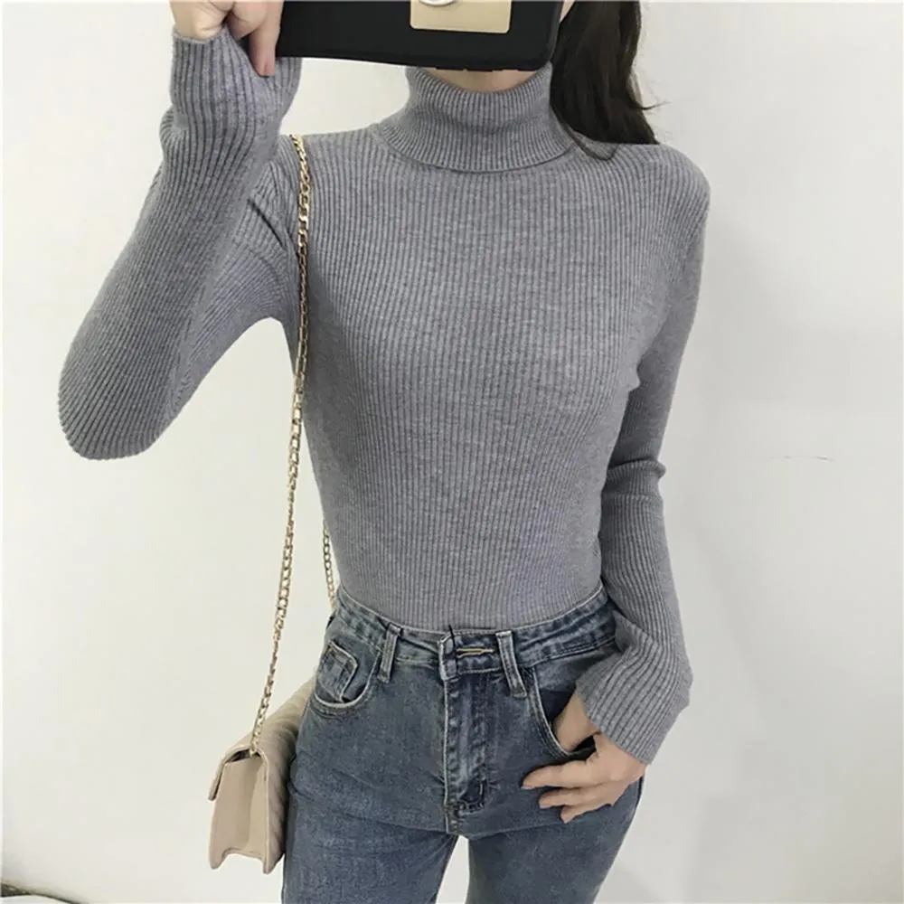 Thick and Soft Turtle Neck Long Sleeve Sweater