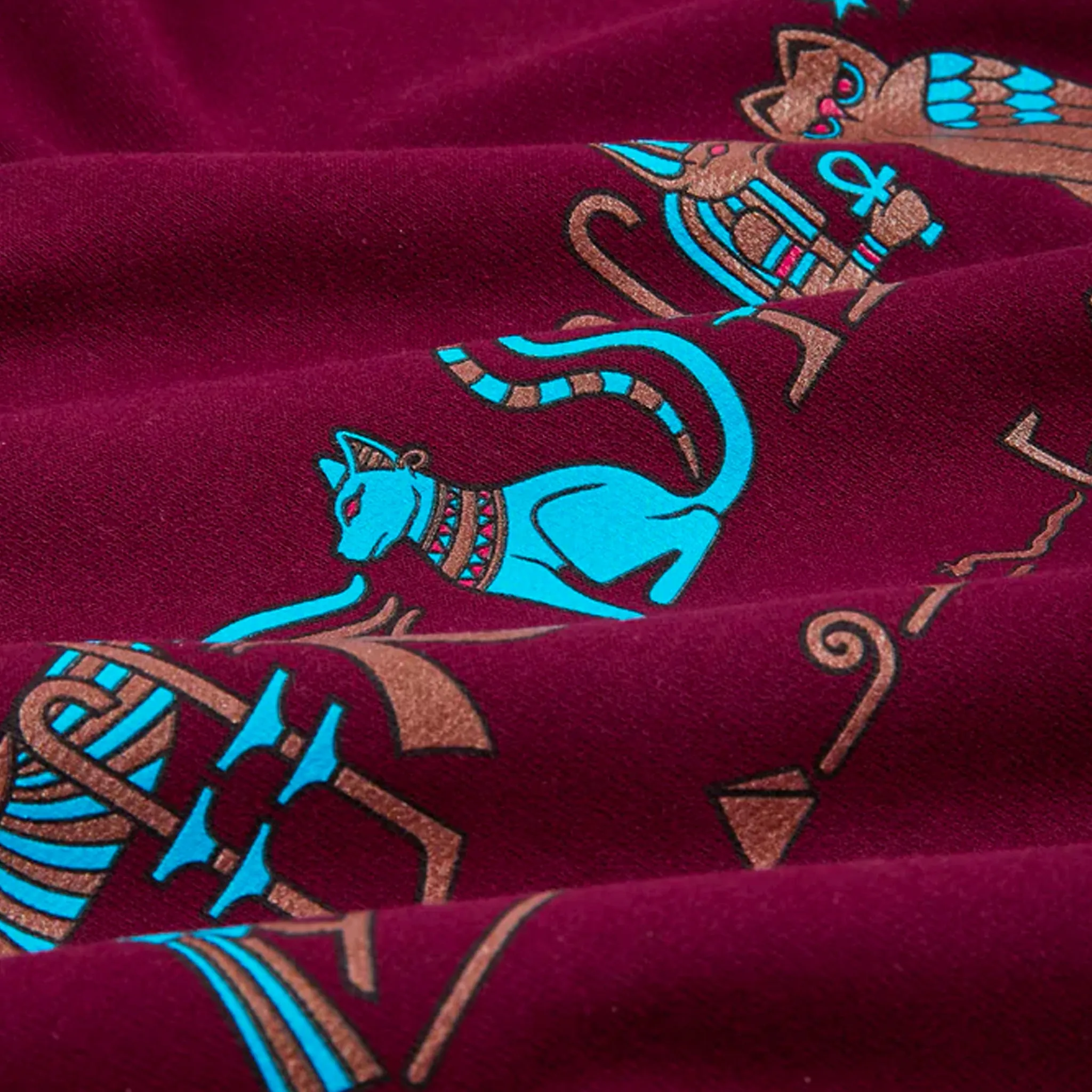 Thrasher Hieroglyphic Hoodie