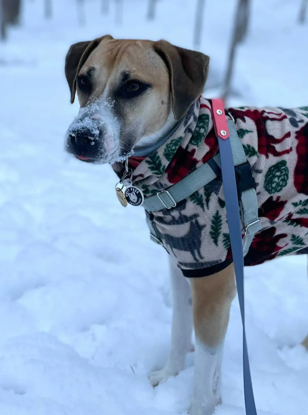 Wild Nature Dog Sweater